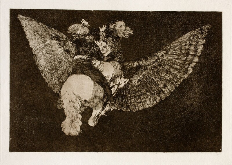 Disparate volante